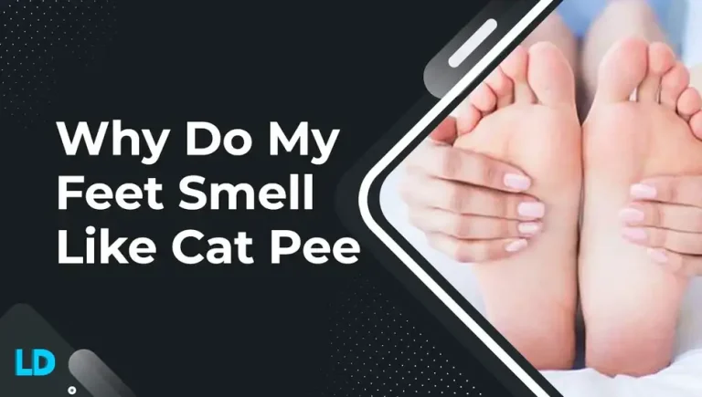 Why Do My Shoes & Feet Smell Like Cat Pee (2023 Facts)